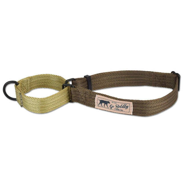 Hamilton Go Boldly Martingale Collar Size - martingale collar for dogs, for small and medium breeds.