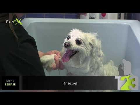 ProGroom FurEx Cleanse Shampoo Step 1 - shampoo that facilitates undercoat removal, for dogs and cats, concentrate.