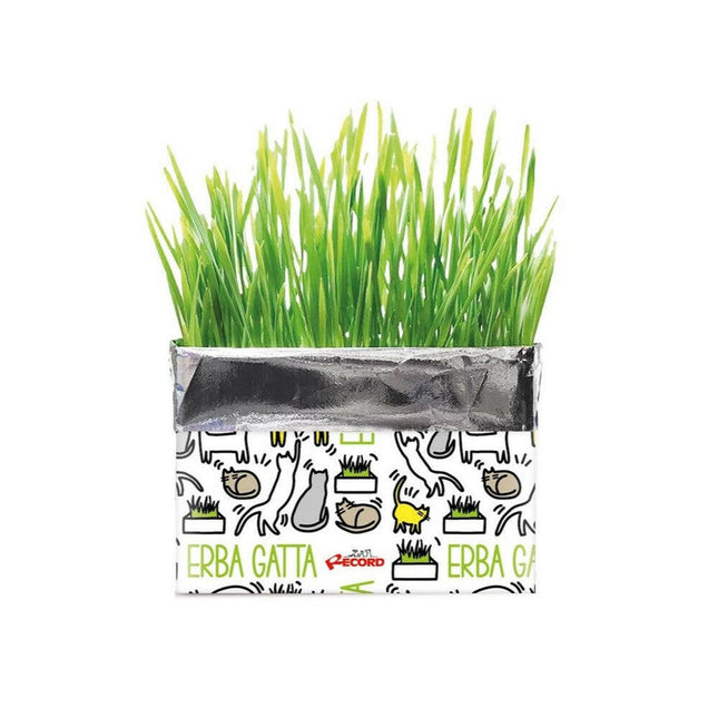 Cat Grass Record Erba Gatta - rye seeds in a growing package, for hairballs.