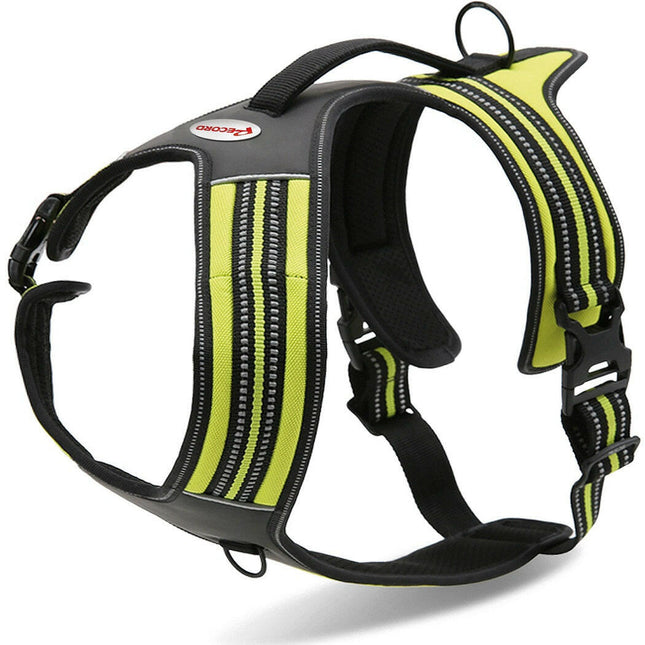 Record Action Alpi Harness - very comfortable reflective harness for dogs.