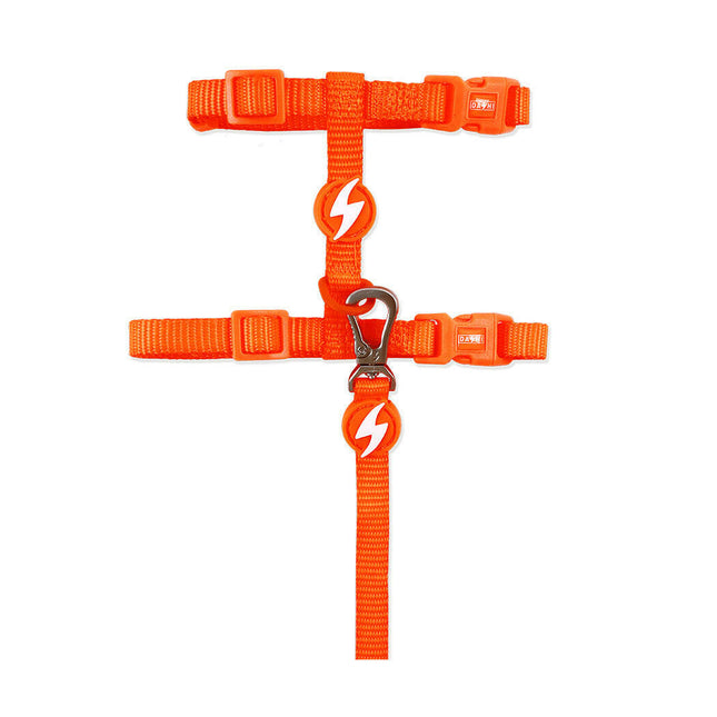 Dashi Neon Cat Harness + Leash - nylon harness and leash set for cats, neon.