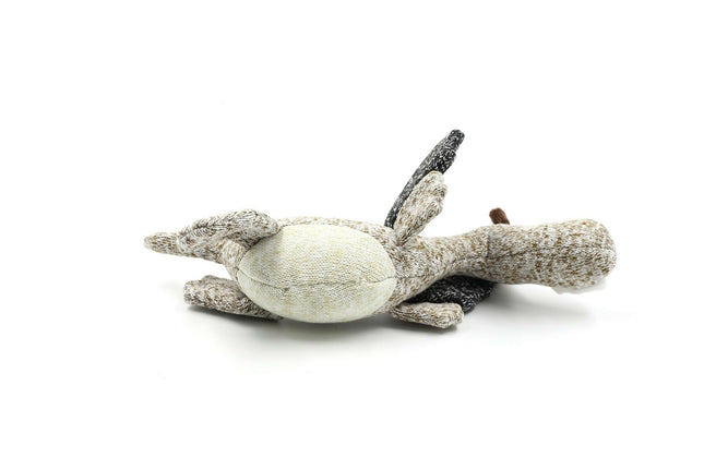 Cotton Dragon - cotton dragon, squeaky toy for dogs.