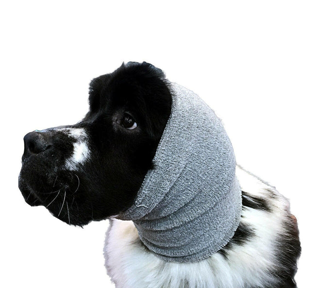 Show Tech Ear Buddy XL - drying band for timid dogs, large.
