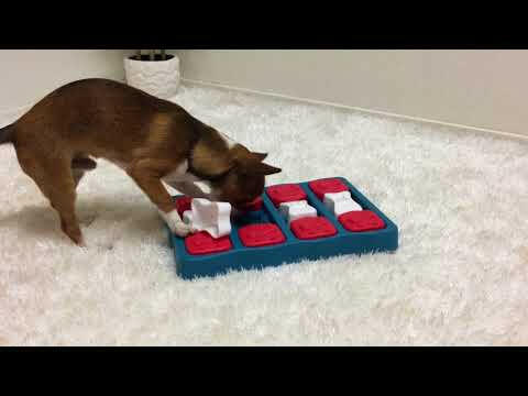 Nina Ottosson Dog Brick Level - logic game, puzzle for dogs, level.