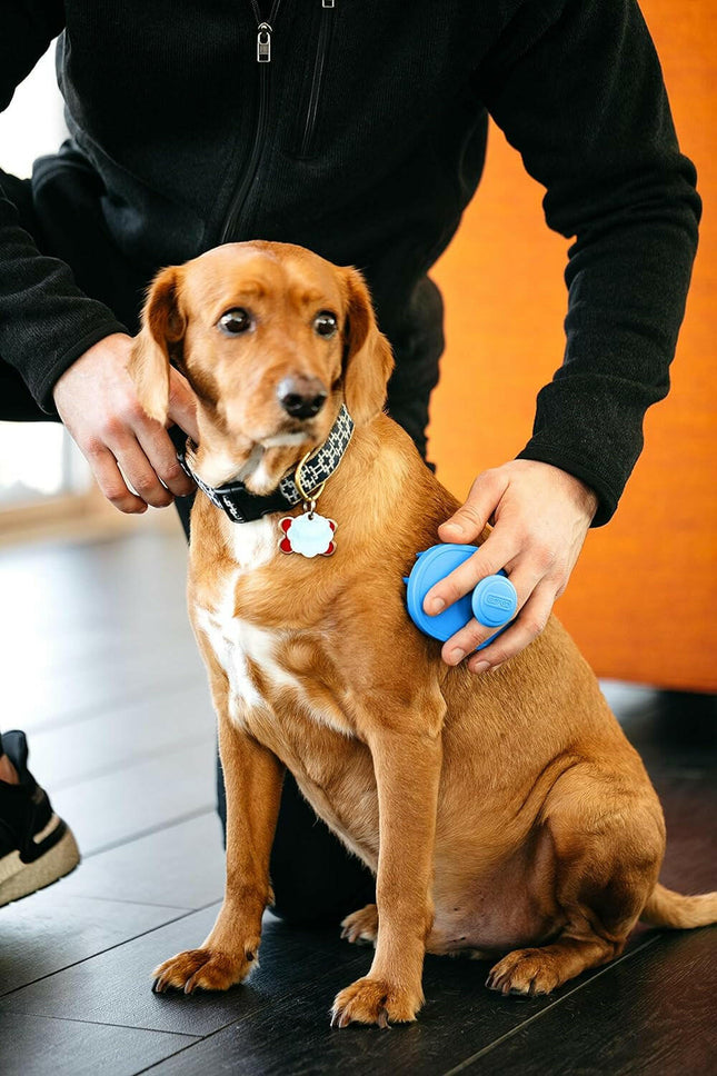 Dexas BrushBuster - silicone brush for dogs and cats, suitable for use on dry and wet fur.