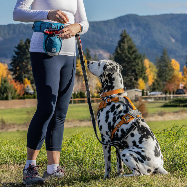 Kurgo RSG Active Belt - running belt for dogs.