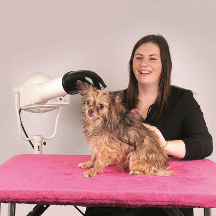 Show Tech+ Toga - microfiber towel for grooming table.