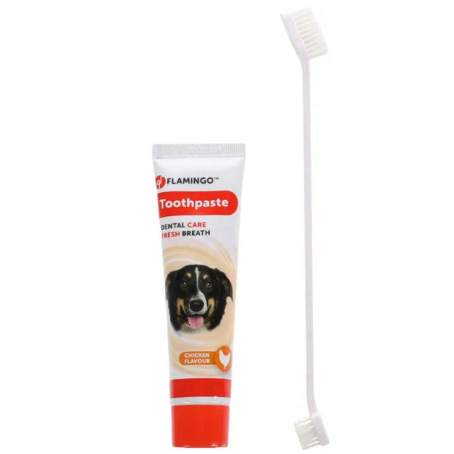 Flamingo Toothpaste & Toothbrush Dafra Tube - oral hygiene set for dogs and cats.