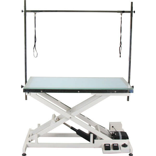 Blovi Luminous - professional grooming table with electric lift and illuminated glass LED top.