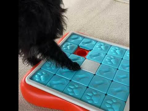 Nina Ottosson Dog Challenge Slider Level - intelligent educational game for dogs, level.