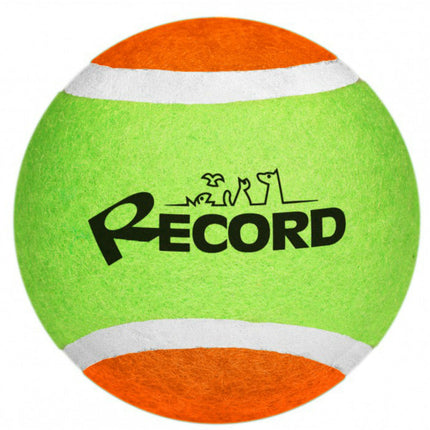 Record Dog's Tennis Ball - tennis ball for dogs.
