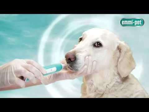 Emmi - Pet 2.0 Basic Set - ultrasonic toothbrush for dogs, generation.