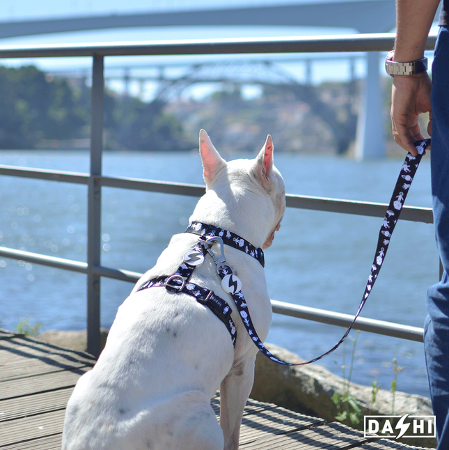 Dashi Astronaut Back Harness - adjustable guard harness for dogs, space pattern.