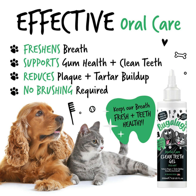 Bugalugs Dental Care Clean Teeth Gel - toothpaste for dogs and cats without brushing, gel.