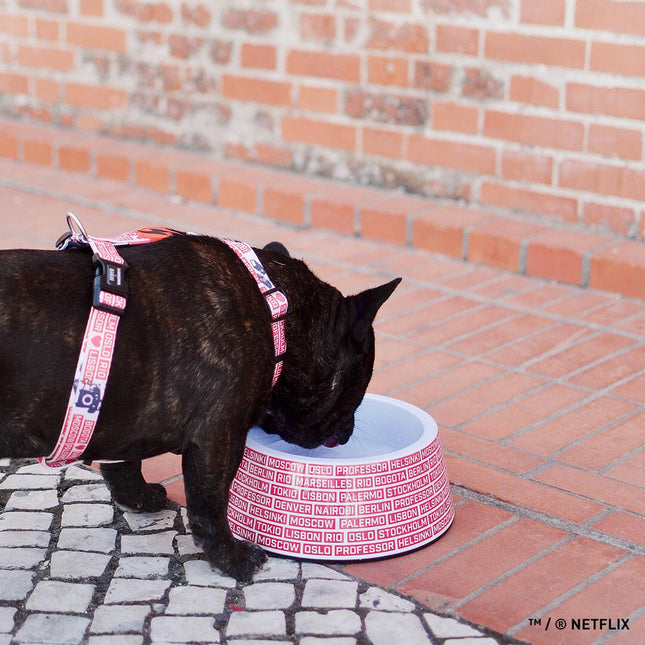Dashi La Casa De Papel Gang Bowl - melamine bowl for dogs and cats, inspired by the series Money Heist..