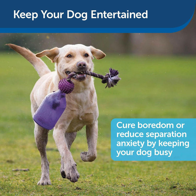 PetSafe Busy Buddy Tug-A-Jug - Treat toy for dogs, bottle with tug rope.