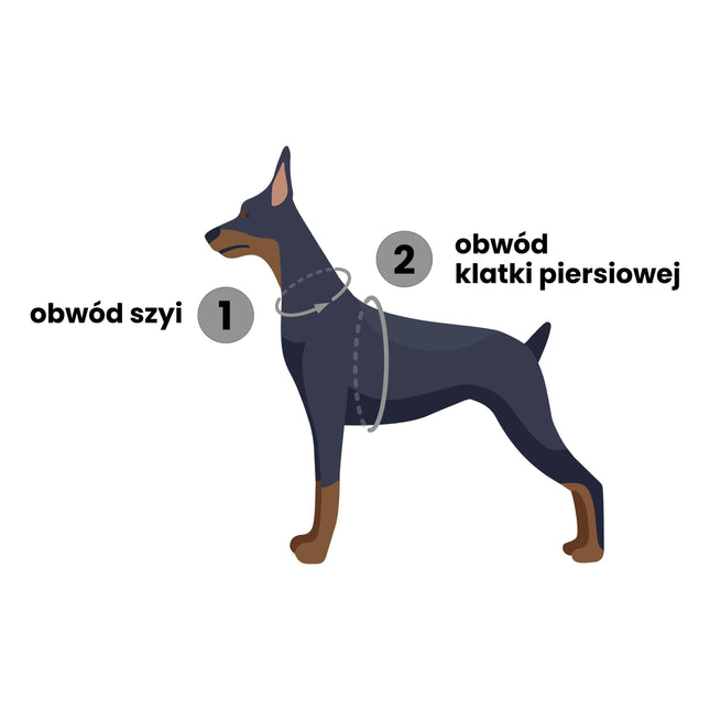 Dashi La Casa De Papel Mask Front Harness - Norwegian harness for dogs, inspired by the series Money Heist, red.