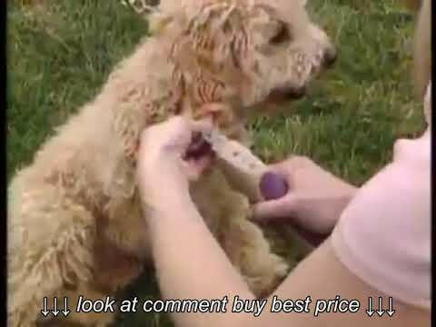 Miracle Care QuickFinder Trimmer - nail clipper for medium dogs with a safety sensor to prevent cutting too short.