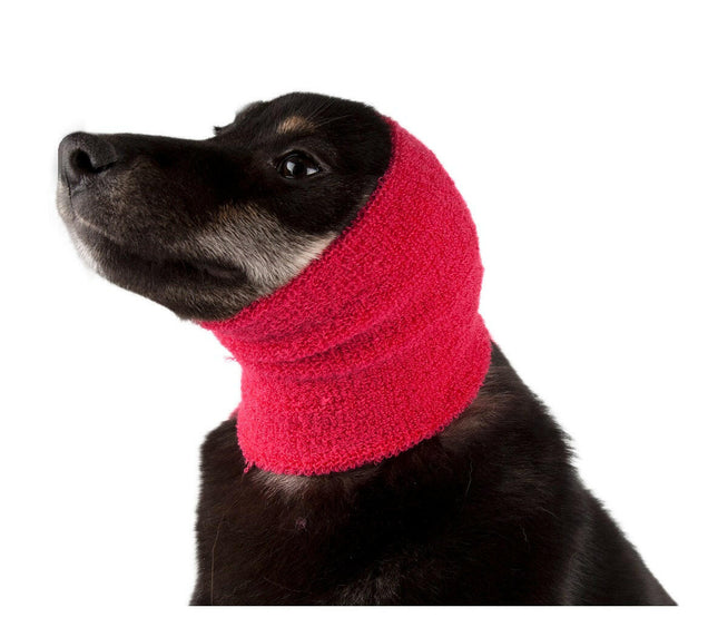 Show Tech Ear Buddy S - ear band for drying timid dogs.