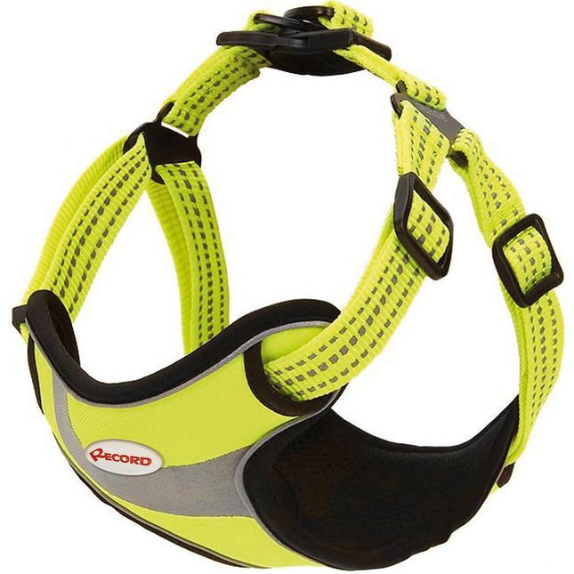 Record Action Himalaya Harness - very comfortable harness for dogs with reflective elements.