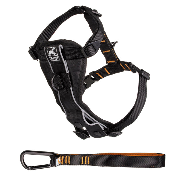 Kurgo Tru-Fit Quick Release Harness - dog harness for daily activities.