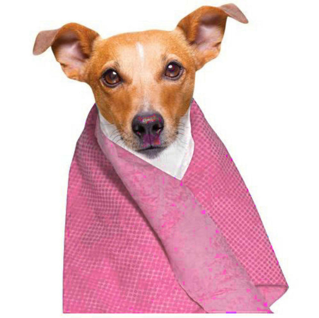 Doogy Cooling Pet Towel - Cooling Towel for Dogs and Cats.