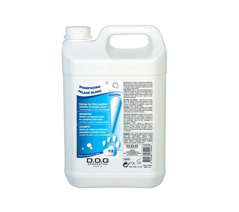 Dog Generation Coat Shampoo - brightening shampoo for dog fur, concentrate 1:3.