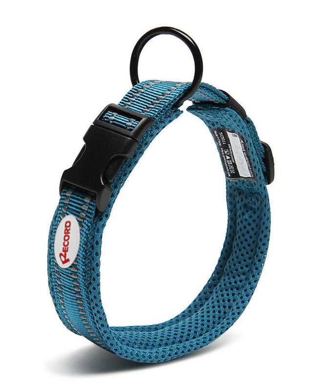 Record Action Ande Collar - high-quality, reflective collar for dogs, turquoise.