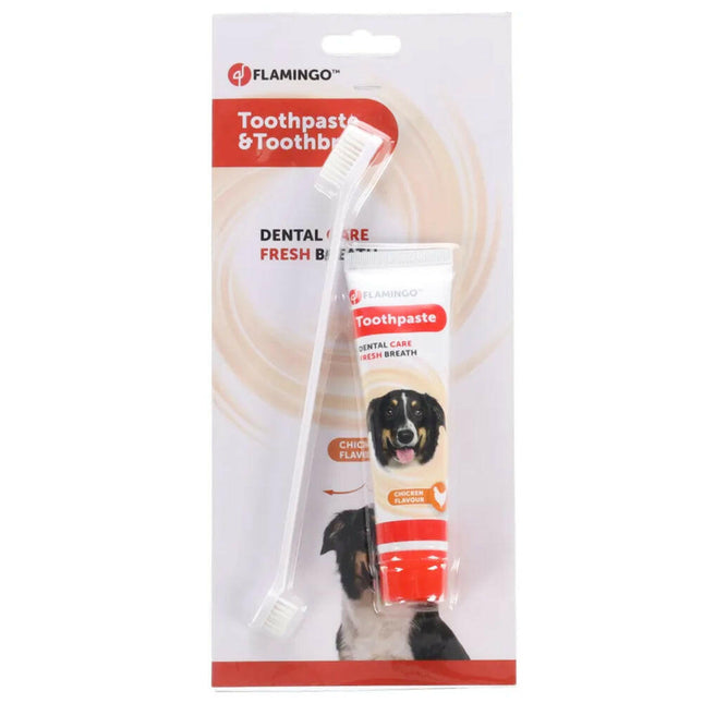 Flamingo Toothpaste & Toothbrush Dafra Tube - oral hygiene set for dogs and cats.