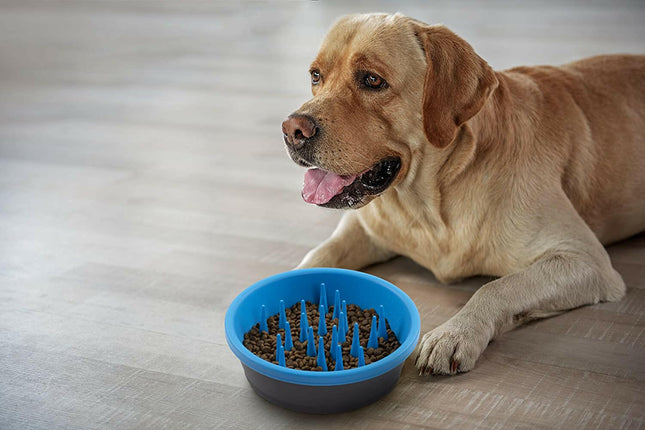 Dexas Slow Feeder - slow feeding bowl - blue.