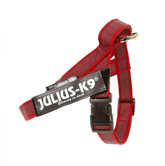 Julius - K9 IDC Color & Gray Belt Harness - harness for dogs - Mini - Mini.
