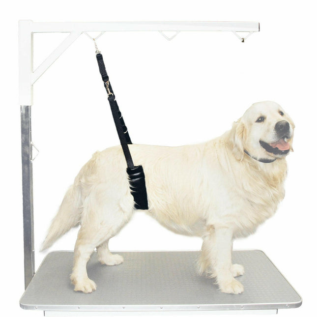 Show Tech Comfort Bellyband Big - comfortable rear support belt.