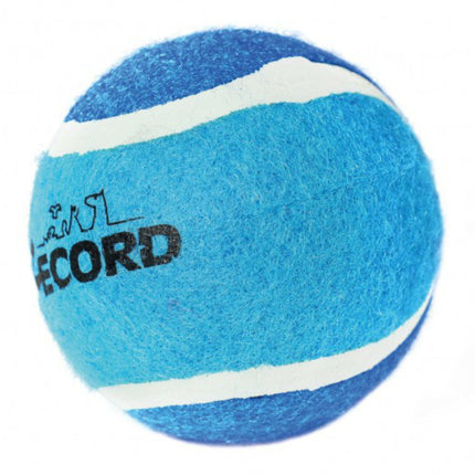 Record Dog's Tennis Ball - tennis ball for dogs.