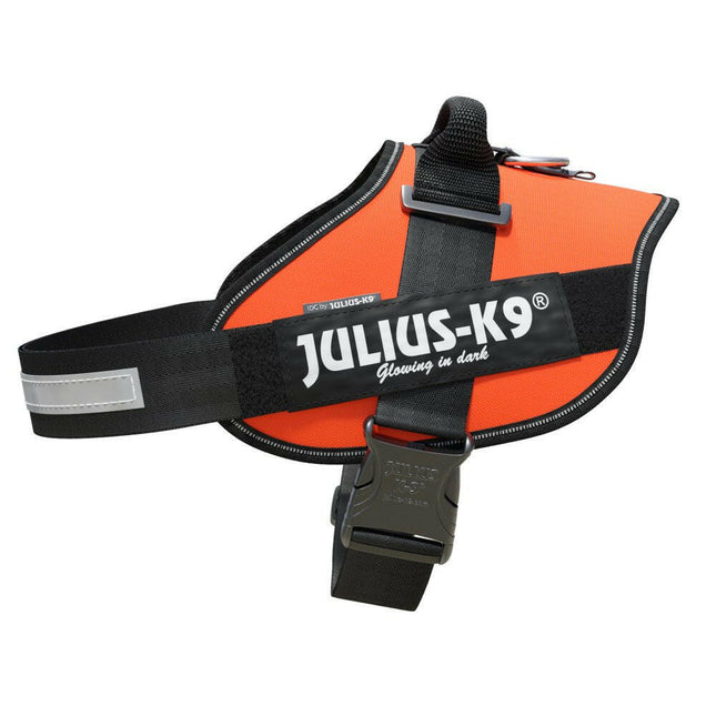 Julius - K9 IDC Powerharness UV - high-quality harness for dogs - Size:.