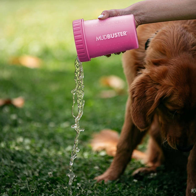 Dexas Mudbuster Dog Paw Cleaner - Silicone Dog Paw Cleaner, Size M.