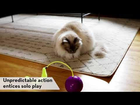 KONG Cat Purrsuit Whirlwind - interactive toy for cats, moving ball with a tail.