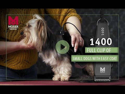 Moser 1400 - grooming clipper for small dogs.