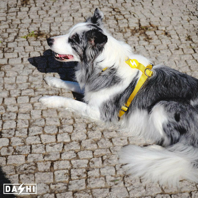 Dashi Solid Back Harness - adjustable guard harness for dogs, yellow.