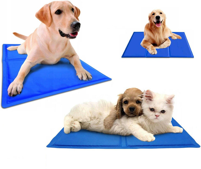 Doogy Pet Cooling Mat - cooling mat for dogs.