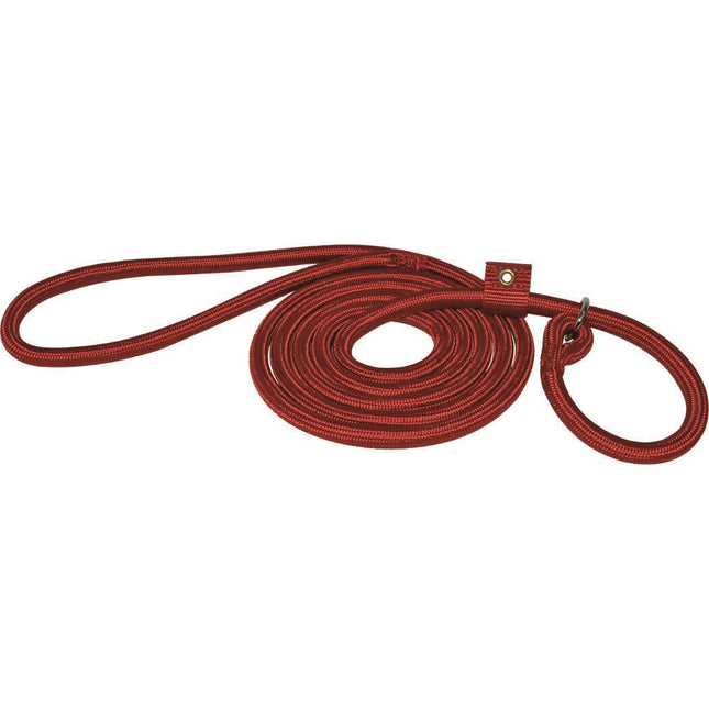 Hamilton Round Braided Quick Walker - 2-in-1 adjustable, clamp leash and collar for dogs weighing up to 30kg.