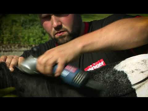 Heiniger Xperience 2 - 250W Speed - powerful and professional 2-speed clipper for grooming horses and cattle with blade 21/23.