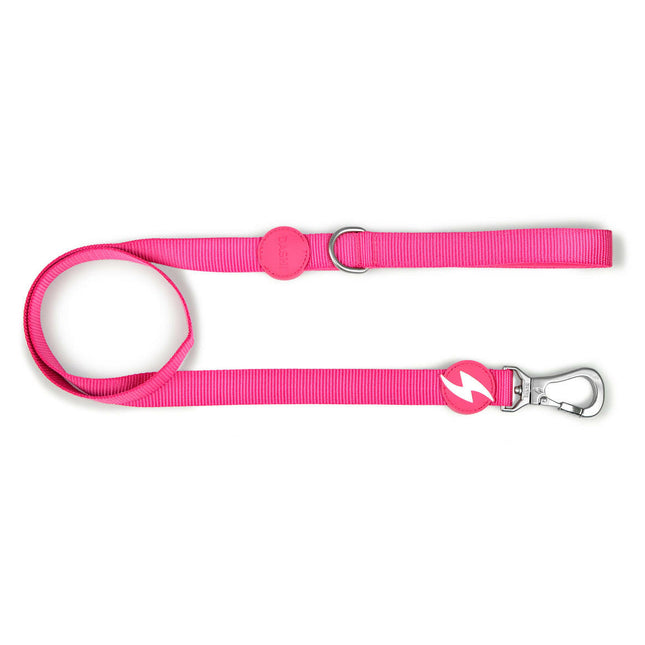 Dashi Solid Leash 120cm - urban dog leash, nylon.