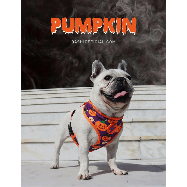 Dashi Pumpkin Neo Mesh Harness - no-pull, reversible dog harness with Halloween pumpkin pattern.