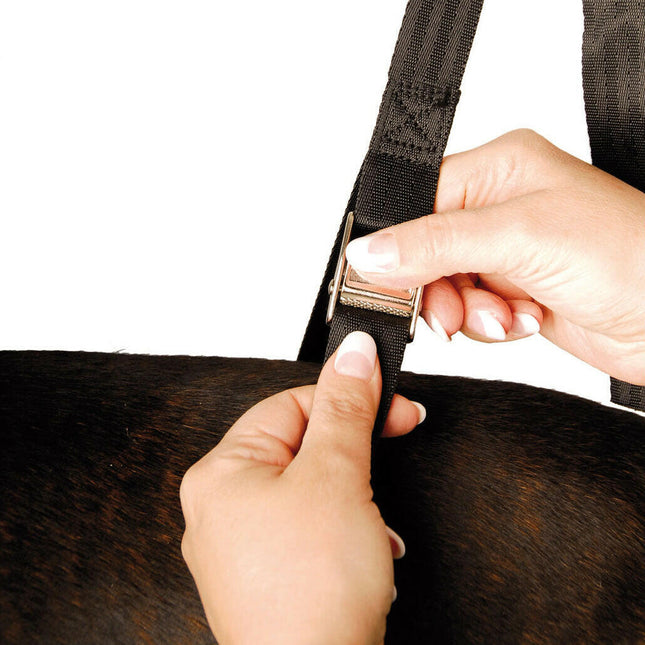 Show Tech Heavy Grooming Noose Set - set of adjustable nylon grooming nooses, length and width adjustable..