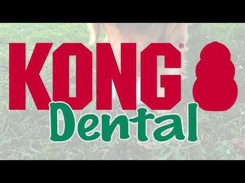 TropiClean Enticers Teeth Cleaning Gel Refills - dog teeth cleaning gel set, refill for the KONG ball set.