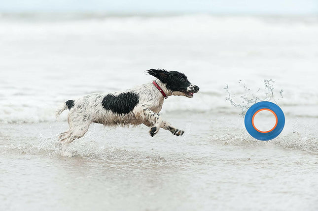 Chuckit! Hydro Roller - water play ring for dogs.