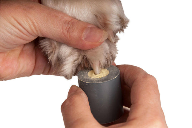 Show Tech bleeding control powder box.