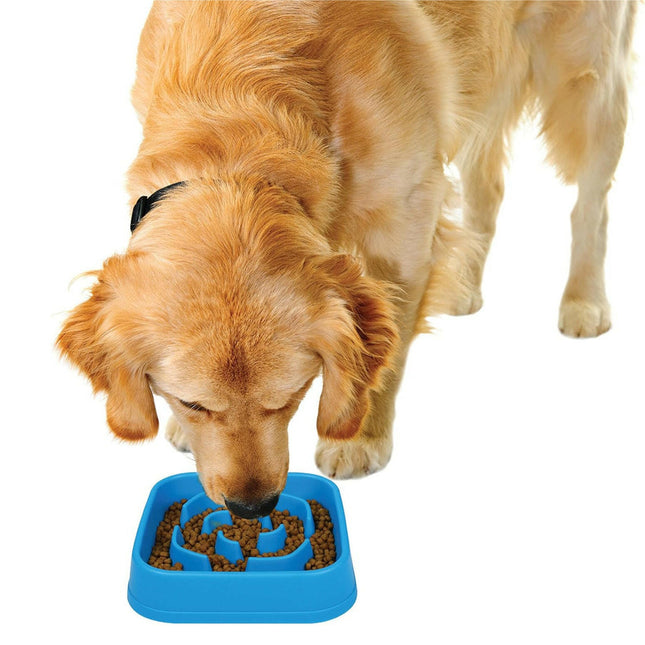 Dexas Slow Maze Feeder - Slow Feeding Bowl, Maze Design.