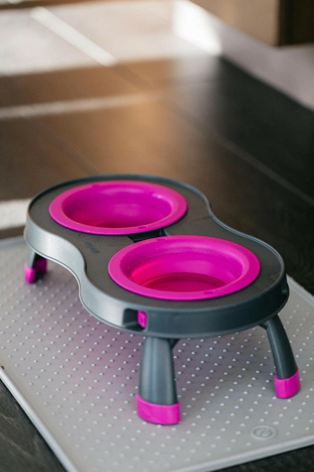 Dexas Double Elevated Feeder Large - elevated dog bowls on a stand, collapsible, large.