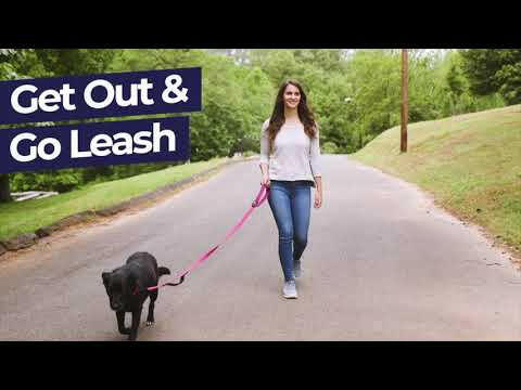 Hamilton Go Boldly Pouch - fabric pouch for treats.